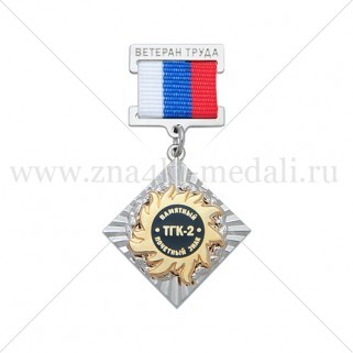 Почетные медали на колодке "ТГК-2"