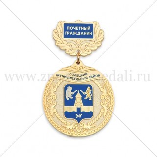 Медали на колодке "Солецкий муниципальный район"