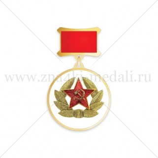 Медаль на колодке "Кокарда офицеров ВВС"
