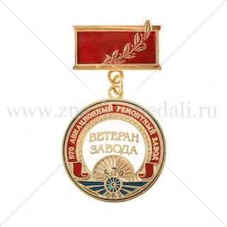 Медали на колодке " Ветеран 570 АРЗ"