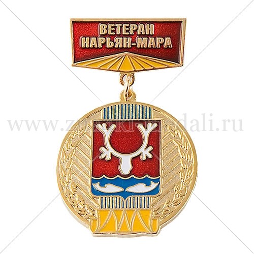 Медали на колодке &quot;Ветеран Нарьян-Мара&quot;